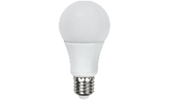 Light Bulbs image