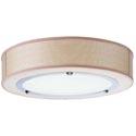 Lithonia ceiling fixture