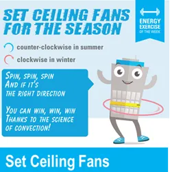 links to ceiling fans activity kit